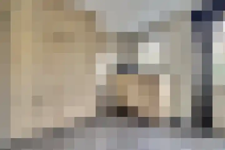 Van Deelenstraat 33 Oudheusden thumbnail 28