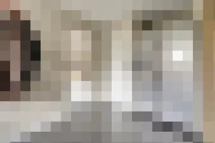 Van Deelenstraat 33 Oudheusden thumbnail 29