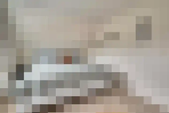 Van Deelenstraat 33 Oudheusden thumbnail 33