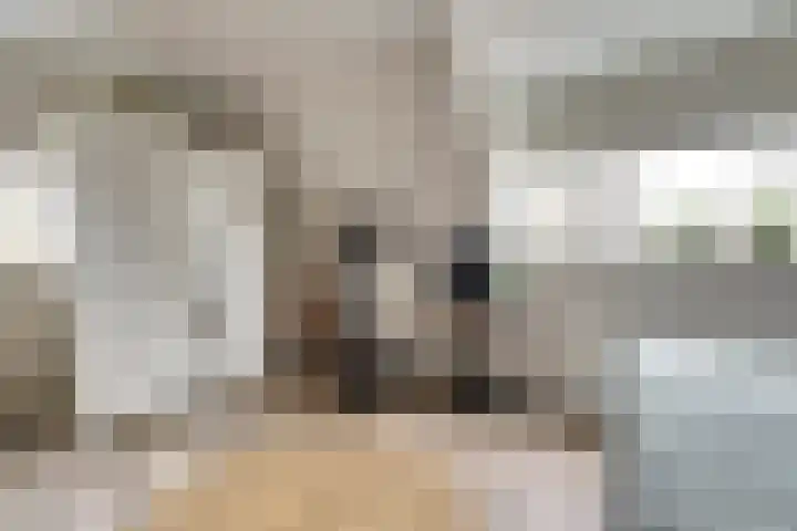 Van Deelenstraat 33 Oudheusden thumbnail 34