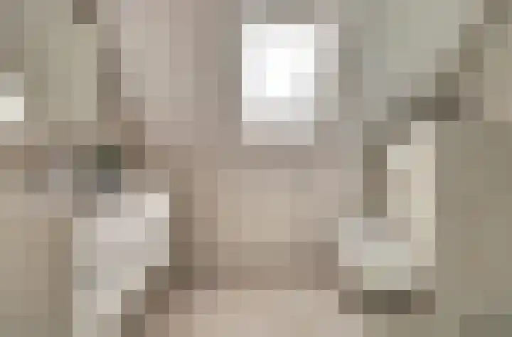 Van Deelenstraat 33 Oudheusden thumbnail 35