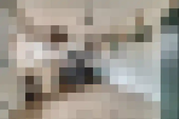 Van Deelenstraat 33 Oudheusden thumbnail 39