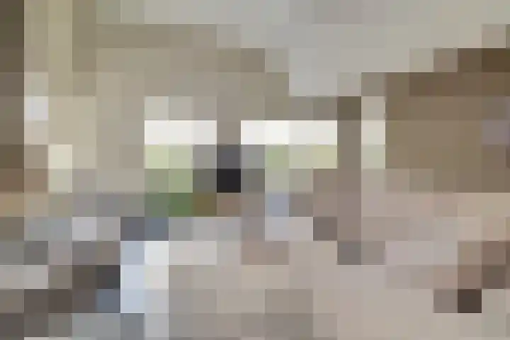 Van Deelenstraat 33 Oudheusden thumbnail 4