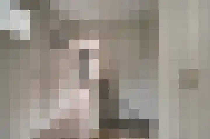 Van Deelenstraat 33 Oudheusden thumbnail 40