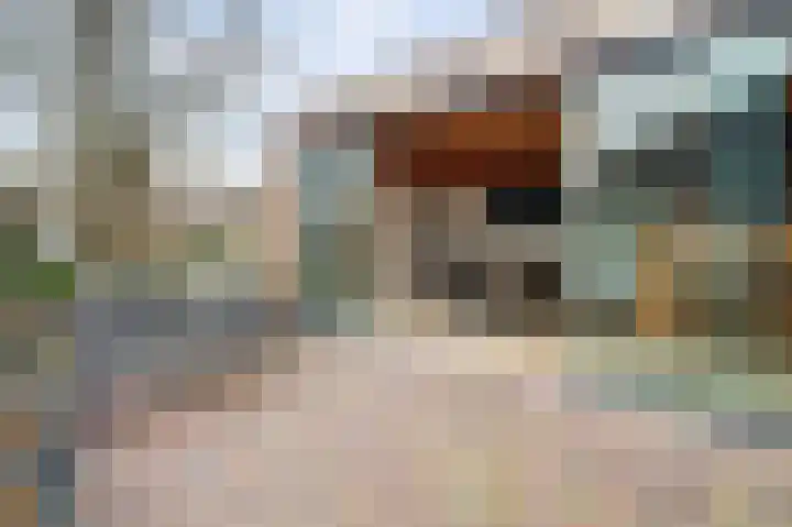 Van Deelenstraat 33 Oudheusden thumbnail 44