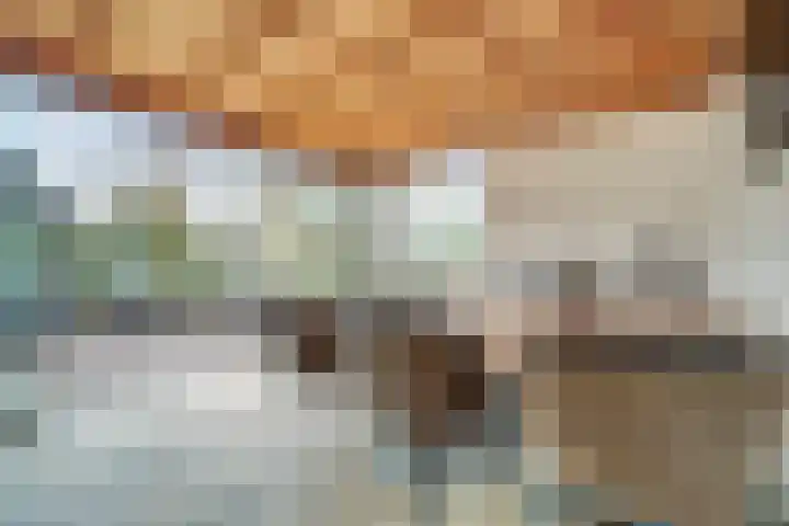 Van Deelenstraat 33 Oudheusden thumbnail 46