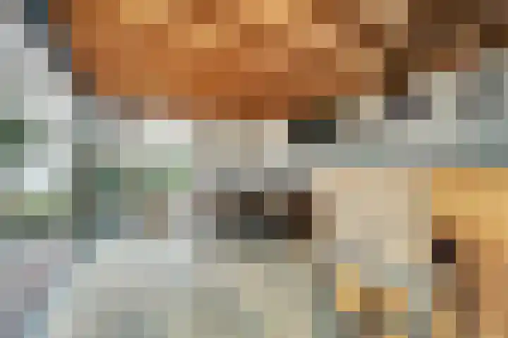 Van Deelenstraat 33 Oudheusden thumbnail 47