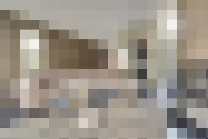 Van Deelenstraat 33 Oudheusden thumbnail 5