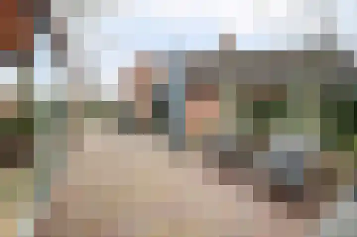 Van Deelenstraat 33 Oudheusden thumbnail 51