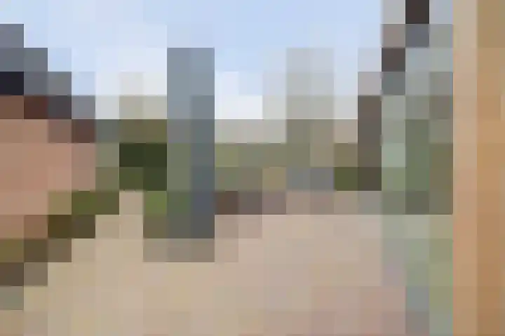 Van Deelenstraat 33 Oudheusden thumbnail 52