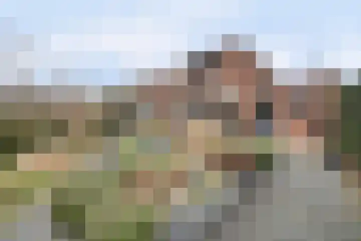 Van Deelenstraat 33 Oudheusden thumbnail 53