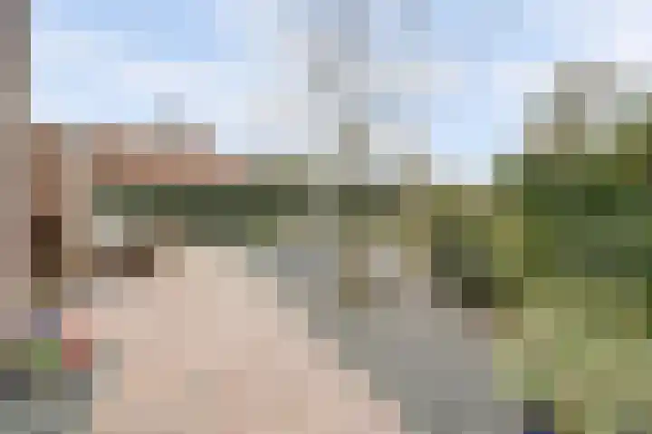 Van Deelenstraat 33 Oudheusden thumbnail 56
