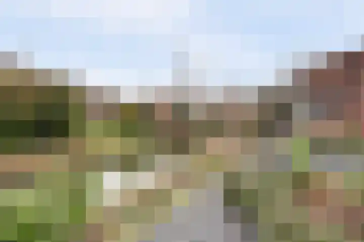 Van Deelenstraat 33 Oudheusden thumbnail 57