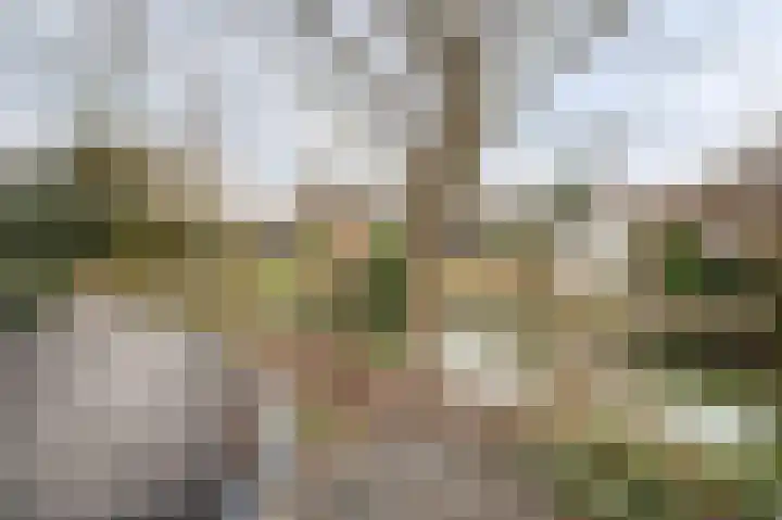 Van Deelenstraat 33 Oudheusden thumbnail 58