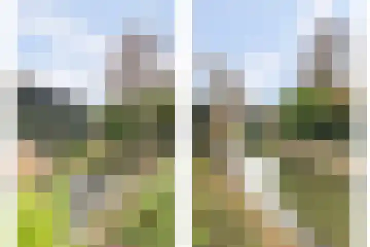 Van Deelenstraat 33 Oudheusden thumbnail 59