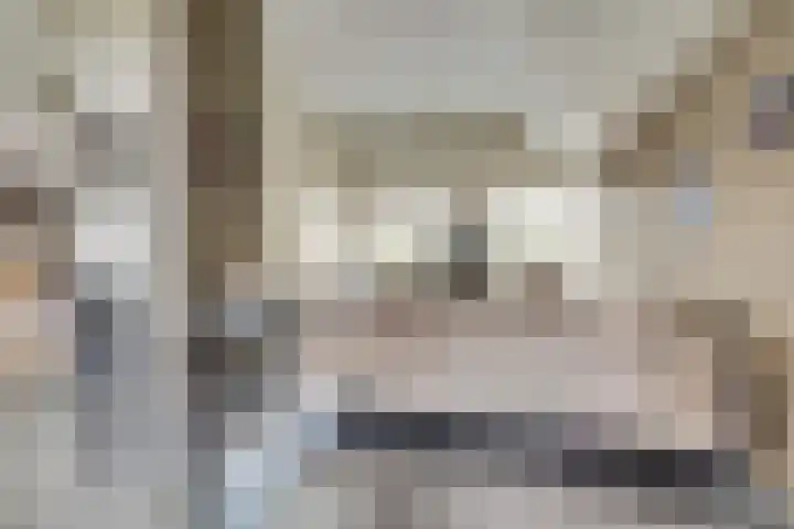 Van Deelenstraat 33 Oudheusden thumbnail 6