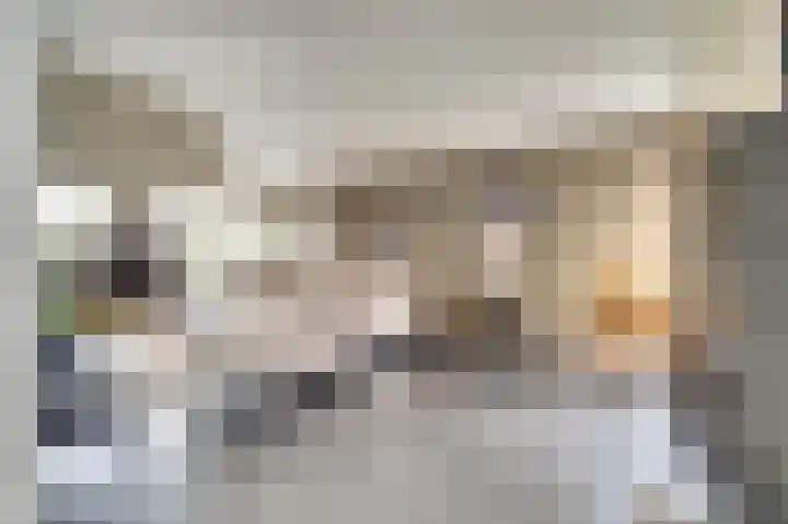 Van Deelenstraat 33 Oudheusden thumbnail 7