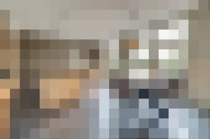 Van Deelenstraat 33 Oudheusden thumbnail 9