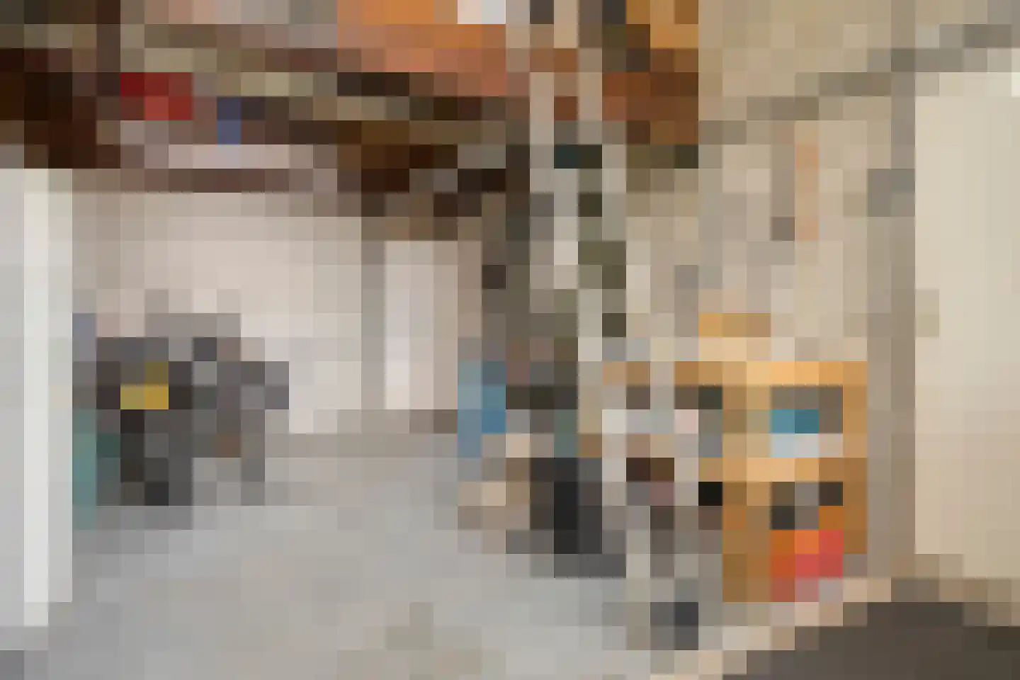 Van Deelenstraat 47 Oudheusden thumbnail 14