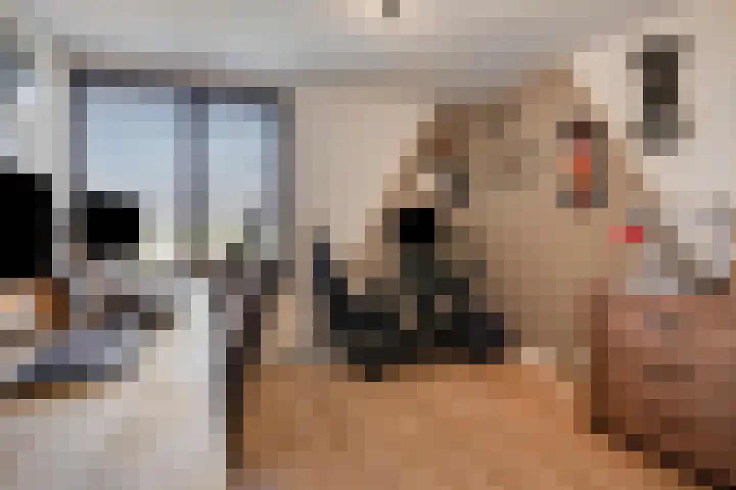 Van Deelenstraat 47 Oudheusden thumbnail 17