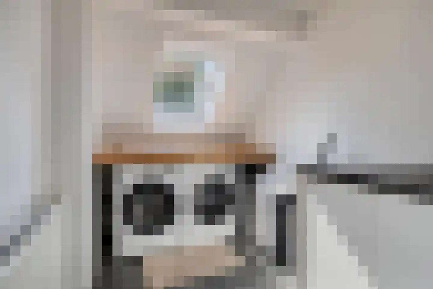 Van Deelenstraat 47 Oudheusden thumbnail 20