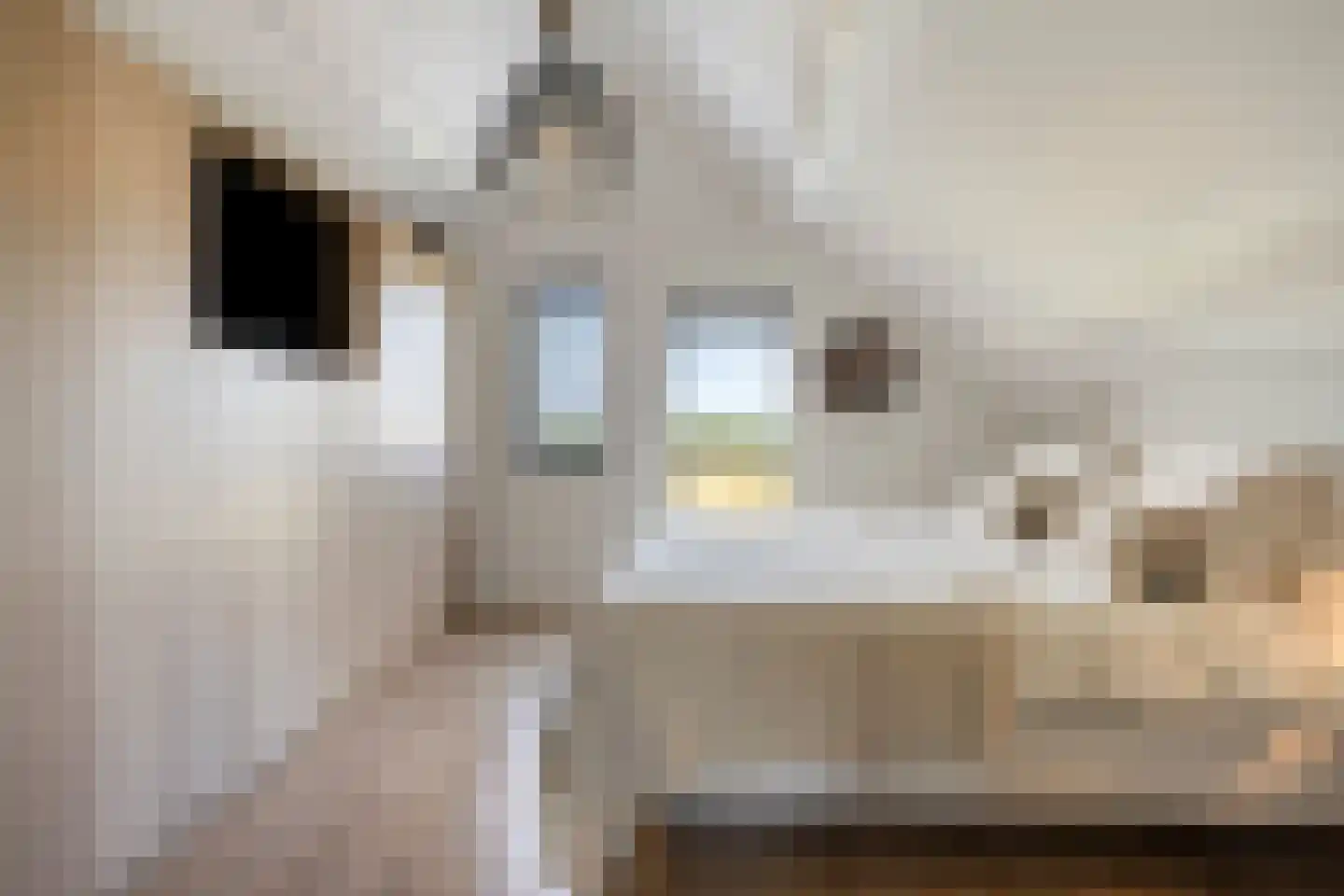 Van Deelenstraat 47 Oudheusden thumbnail 21