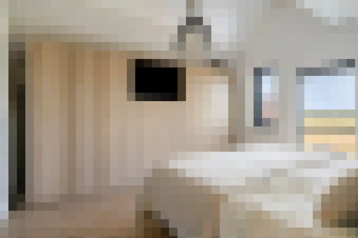 Van Deelenstraat 47 Oudheusden thumbnail 23