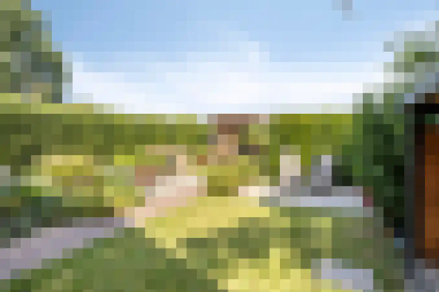 Van Deelenstraat 47 Oudheusden thumbnail 24