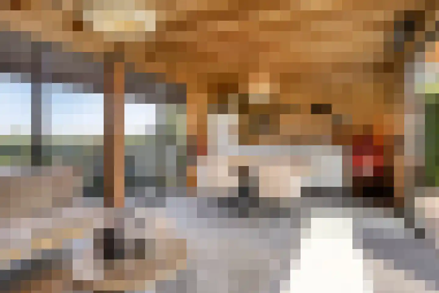 Van Deelenstraat 47 Oudheusden thumbnail 31