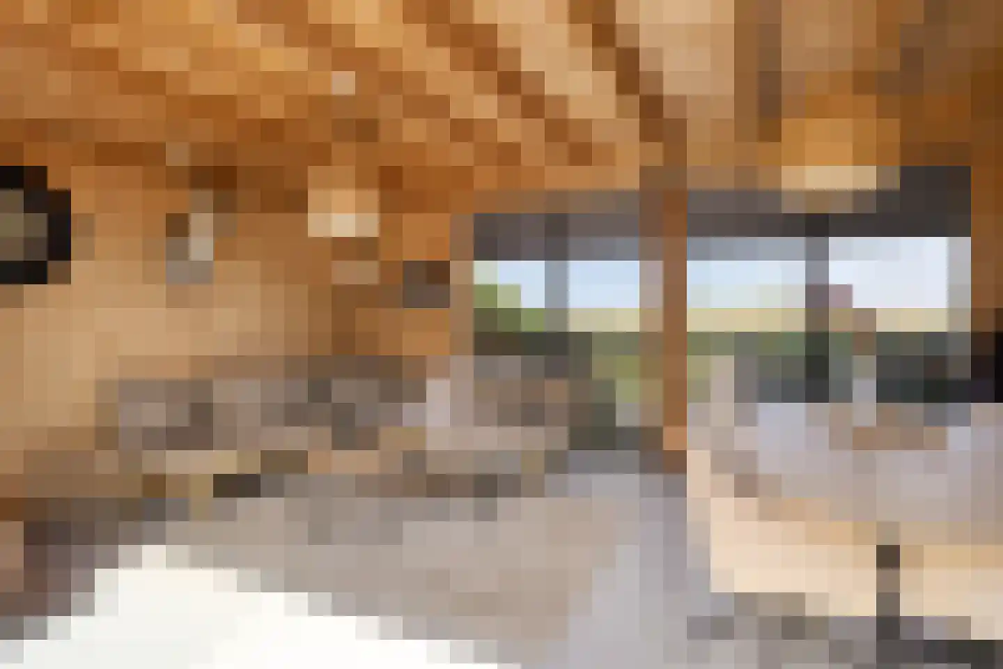 Van Deelenstraat 47 Oudheusden thumbnail 32