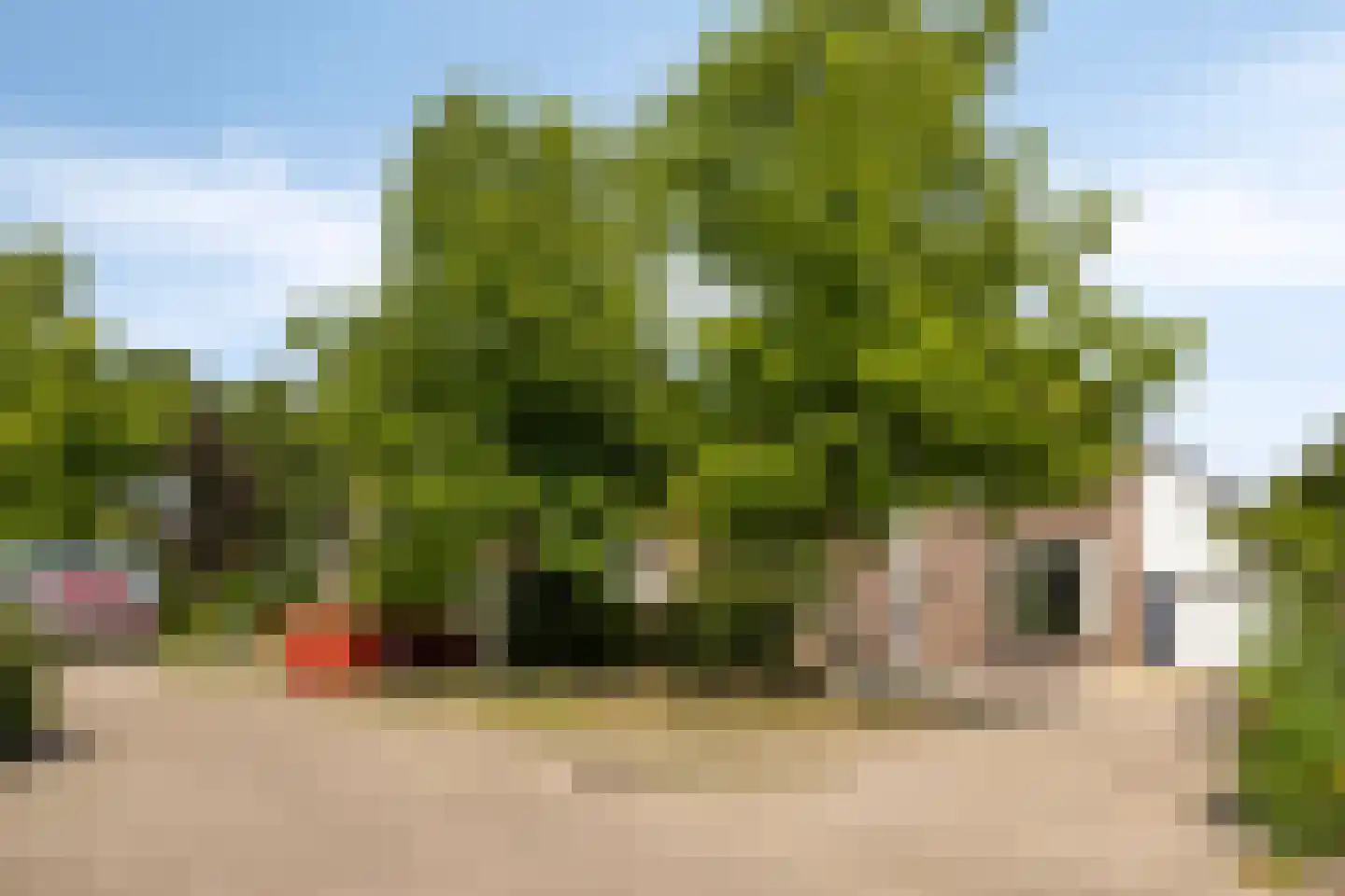 Van Deelenstraat 47 Oudheusden thumbnail 33