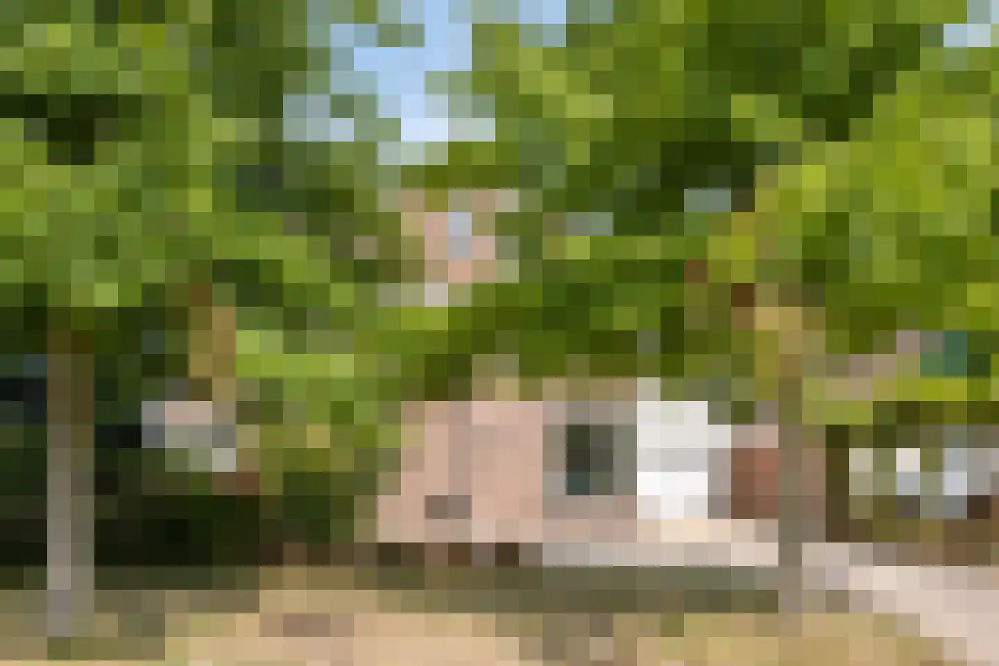 Van Deelenstraat 47 Oudheusden thumbnail 34