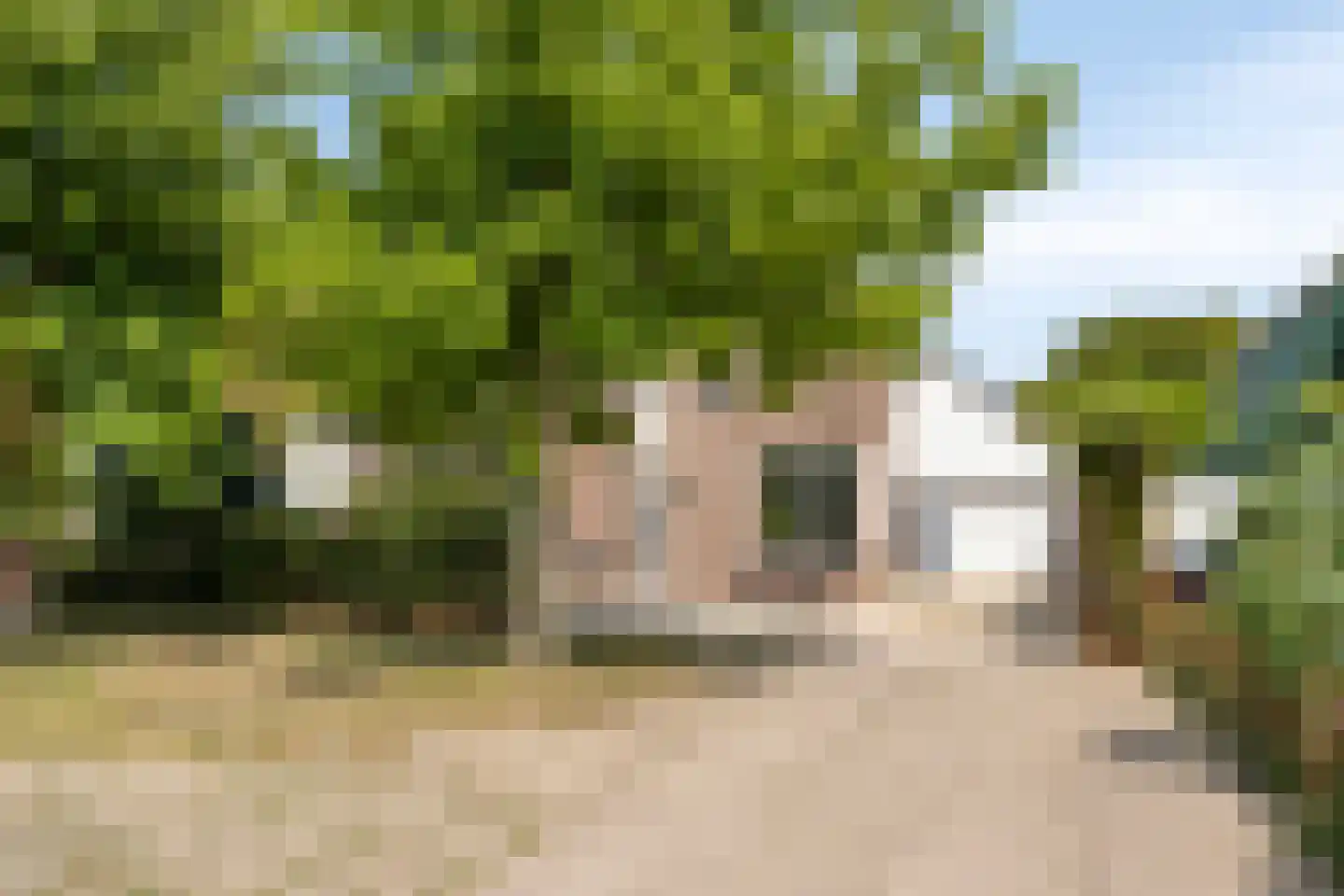 Van Deelenstraat 47 Oudheusden thumbnail 36