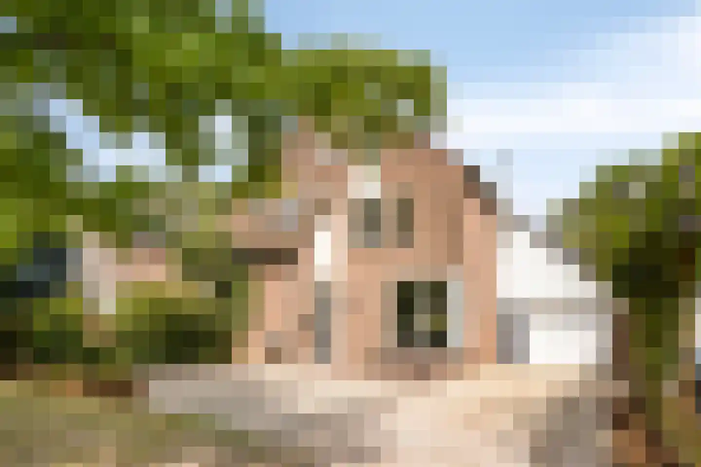 Van Deelenstraat 47 Oudheusden thumbnail 37