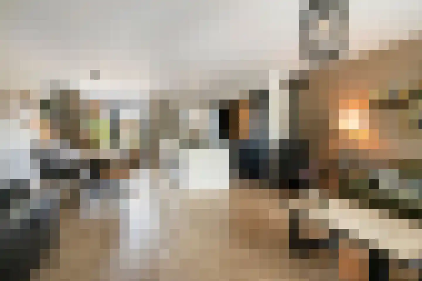 Van Deelenstraat 47 Oudheusden thumbnail 5