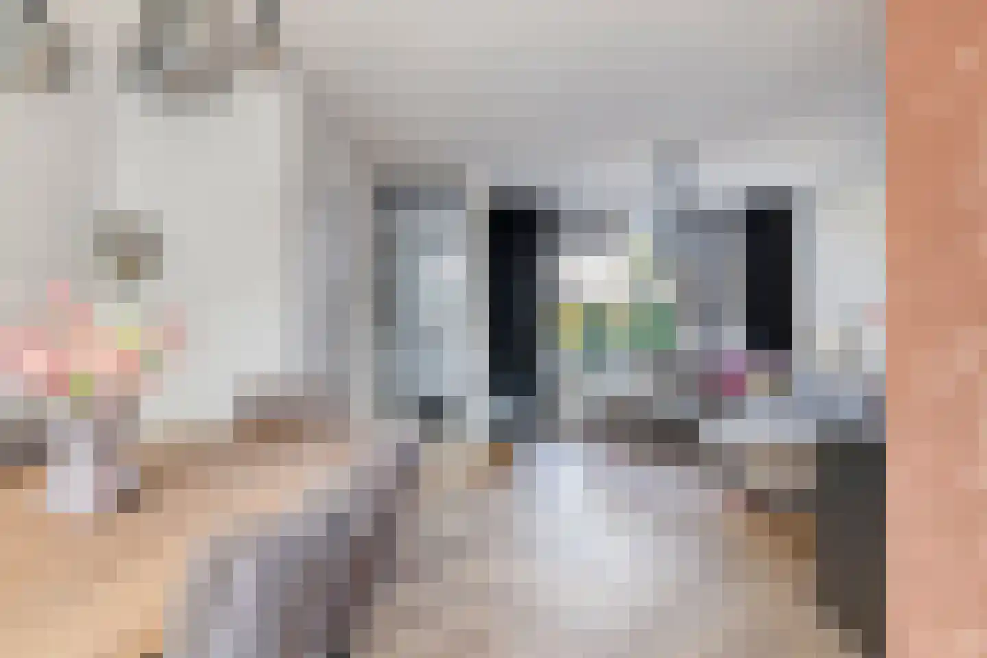 Van Deelenstraat 8 Oudheusden thumbnail 14