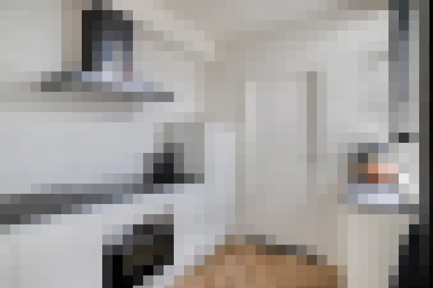 Van Deelenstraat 8 Oudheusden thumbnail 17