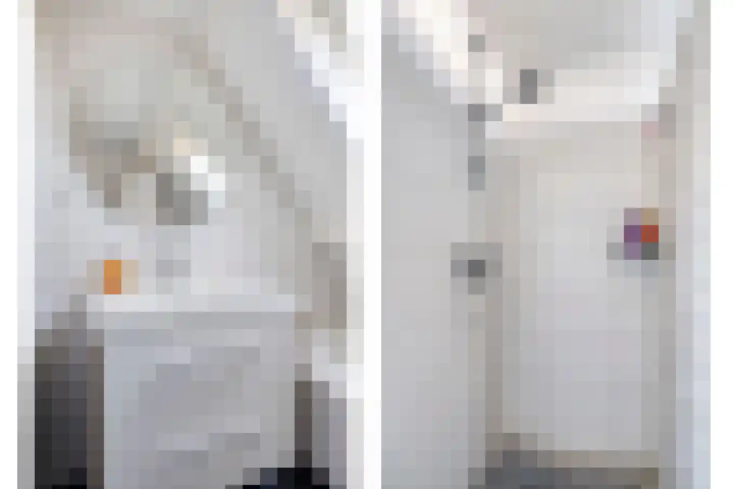 Van Deelenstraat 8 Oudheusden thumbnail 26