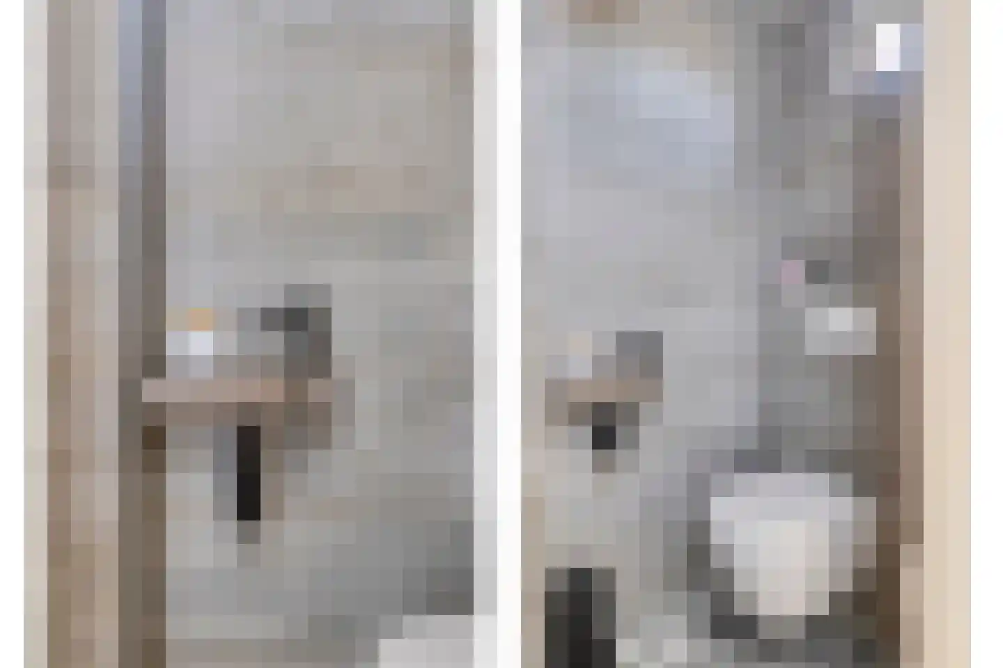 Van Deelenstraat 8 Oudheusden thumbnail 9