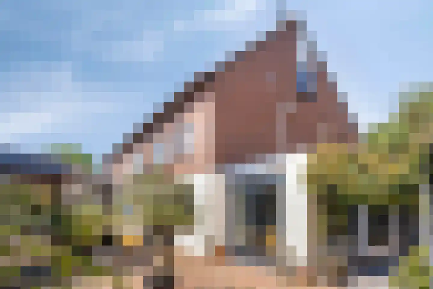 Van Deelenstraat 99 dans Oudheusden