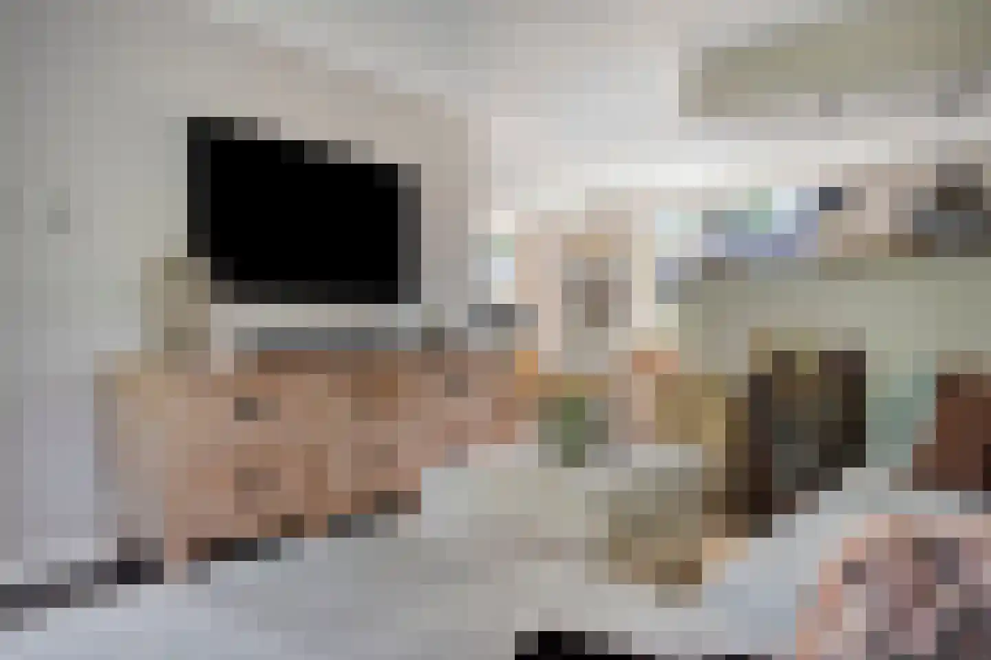 Van Deelenstraat 99 Oudheusden thumbnail 13