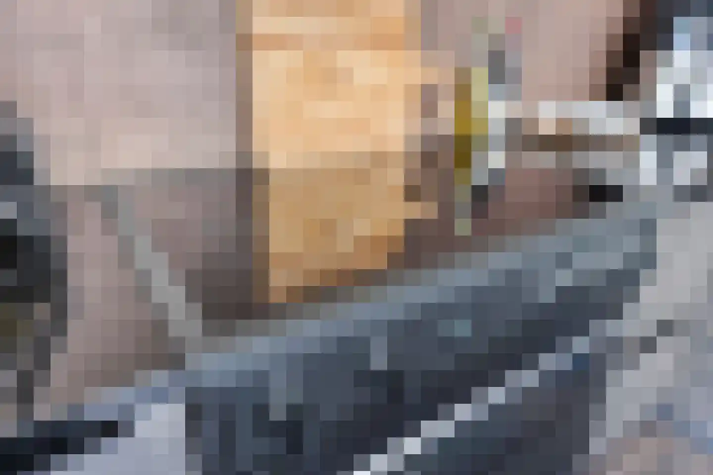 Van Deelenstraat 99 Oudheusden thumbnail 15