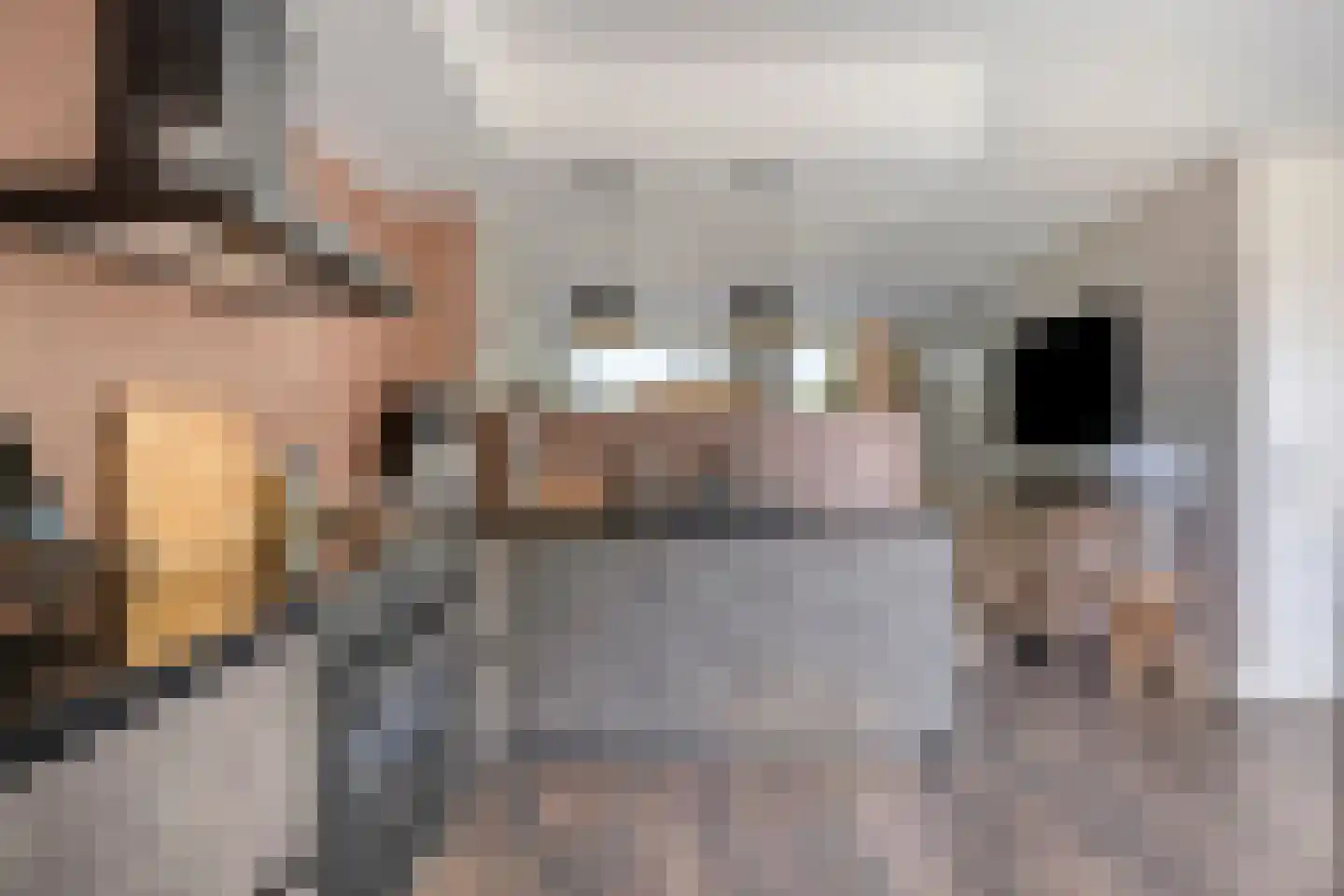 Van Deelenstraat 99 Oudheusden thumbnail 17