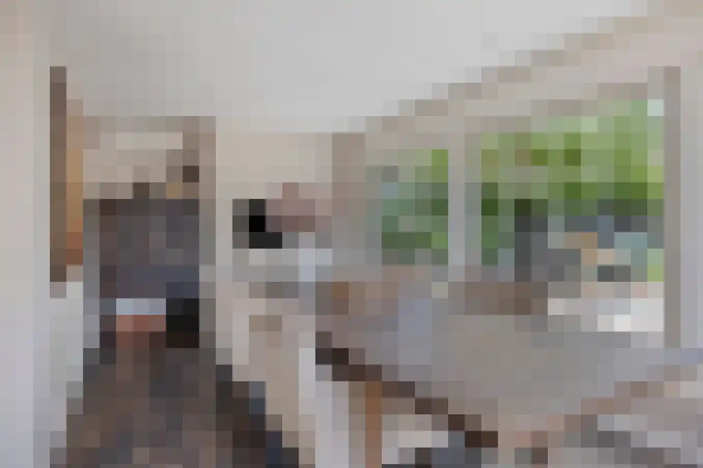 Van Deelenstraat 99 Oudheusden thumbnail 20