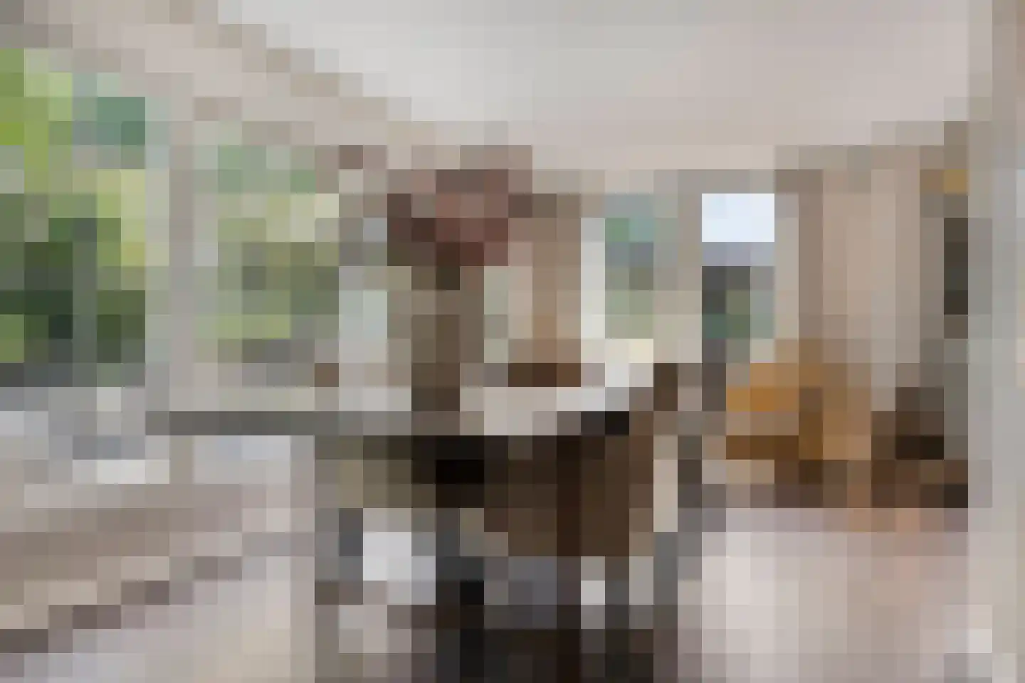 Van Deelenstraat 99 Oudheusden thumbnail 22