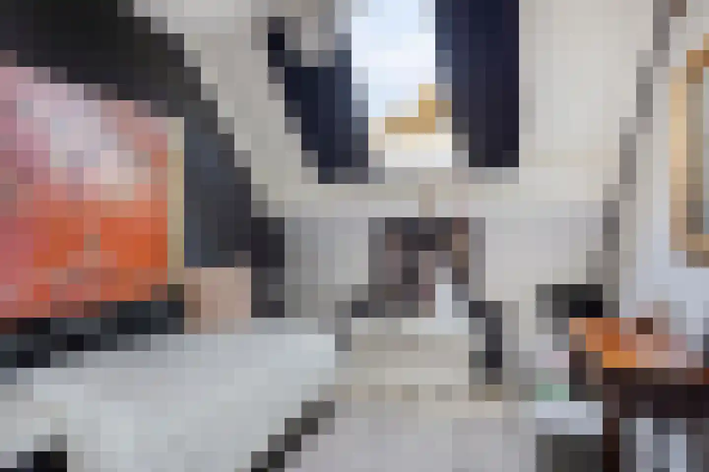 Van Deelenstraat 99 Oudheusden thumbnail 27