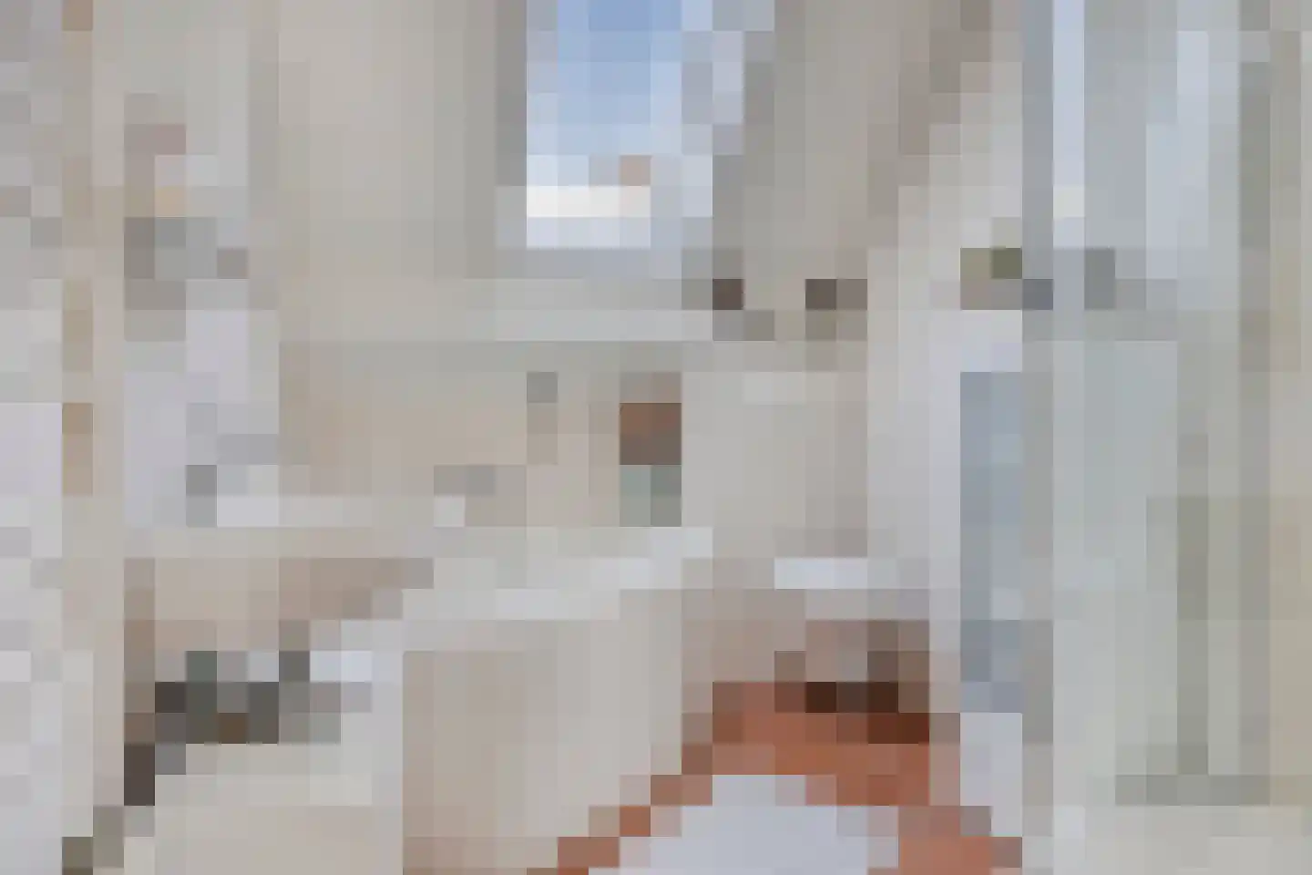 Van Deelenstraat 99 Oudheusden thumbnail 29