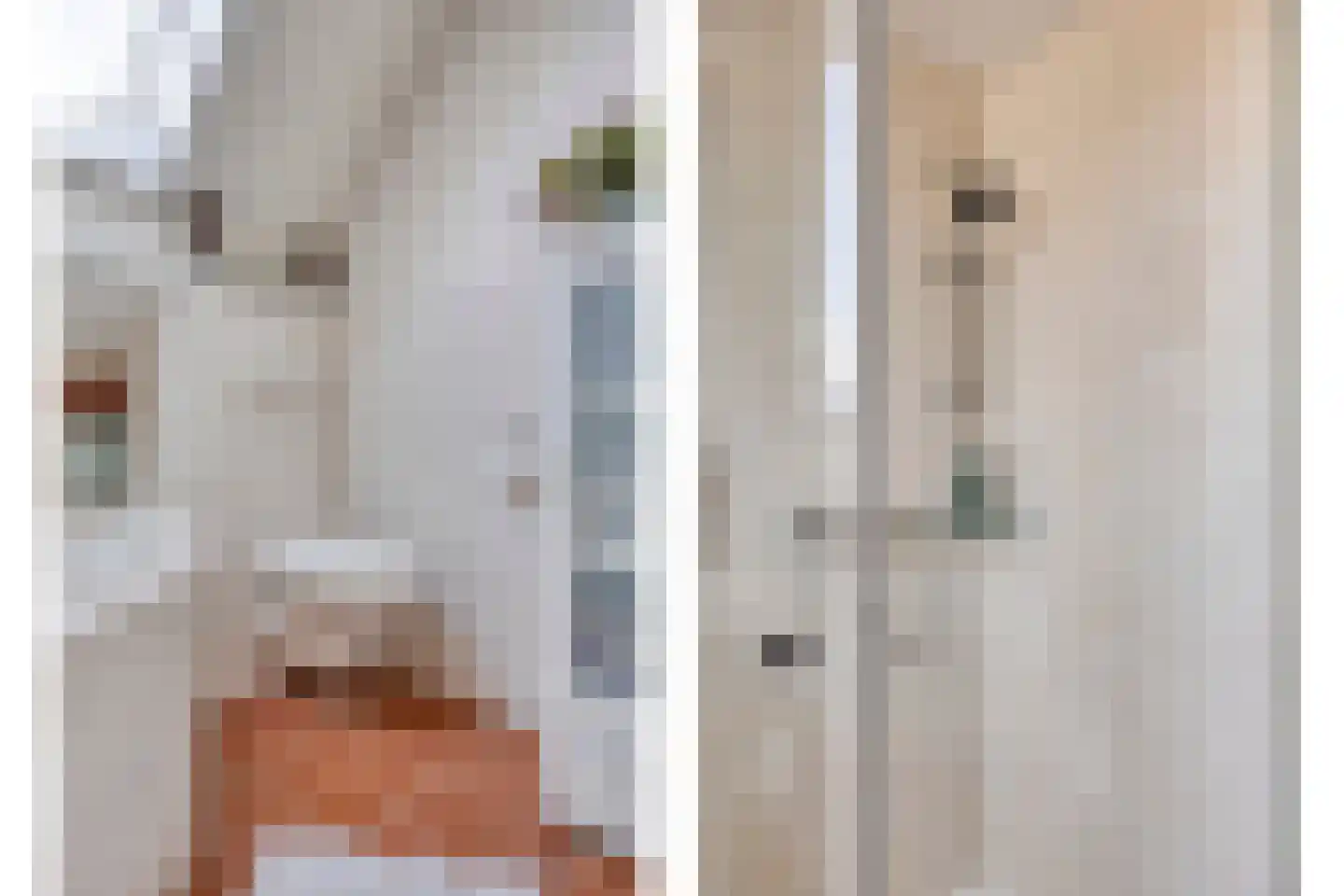 Van Deelenstraat 99 Oudheusden thumbnail 30