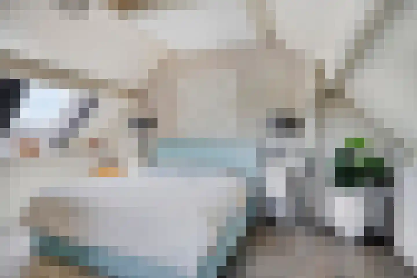 Van Deelenstraat 99 Oudheusden thumbnail 35