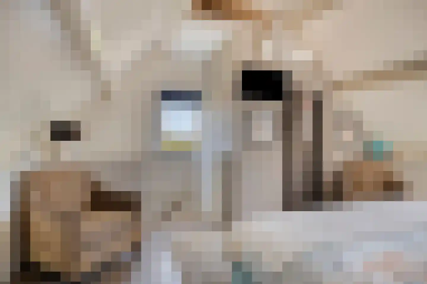 Van Deelenstraat 99 Oudheusden thumbnail 38